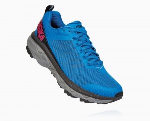 Chaussures Running Route Hoka Challenger ATR 5 Femme Bleu Royal Bleu Rose Paon | TYFA84201