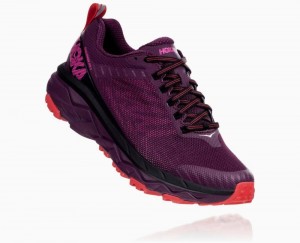 Chaussures Running Route Hoka Challenger ATR 5 Femme Violette Rouge | WXIM63508