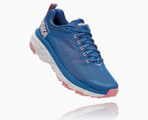 Chaussures Trail Hoka Challenger ATR 5 Femme Bleu Foncé Marron | JVLZ70942