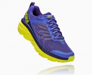 Chaussures Trail Hoka Challenger ATR 5 Homme Bleu | HAIE93841