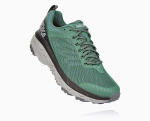 Chaussures Trail Hoka Challenger ATR 5 Homme Grise | IPQH32460