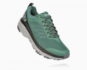 Chaussures Trail Hoka Challenger ATR 5 Wide Homme Grise | EHSM27649