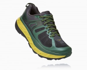 Chaussures Trail Hoka Stinson ATR 5 Homme Grise | BWAF78403