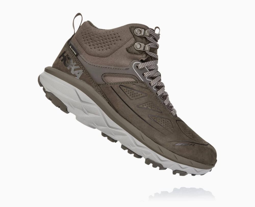 Botte Randonnée Hoka Challenger Mid GORE Femme Marron | QVGA59327