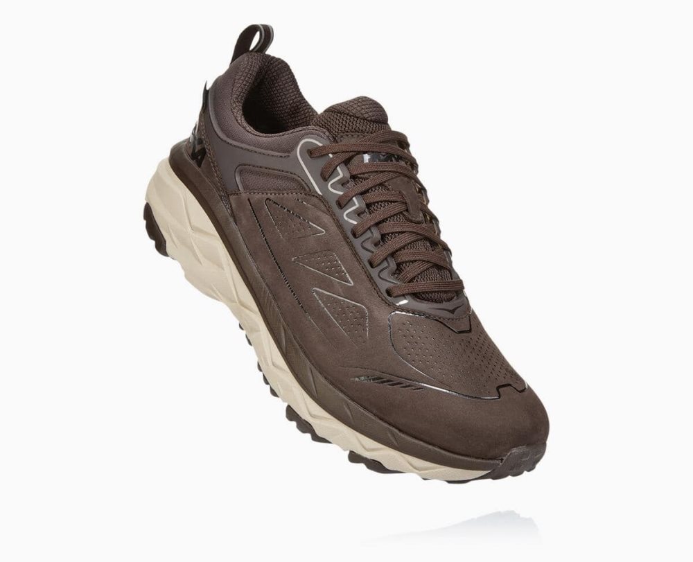 Chaussure de Randonnée Hoka Challenger Low GORE Homme Cafe | RVJN79260