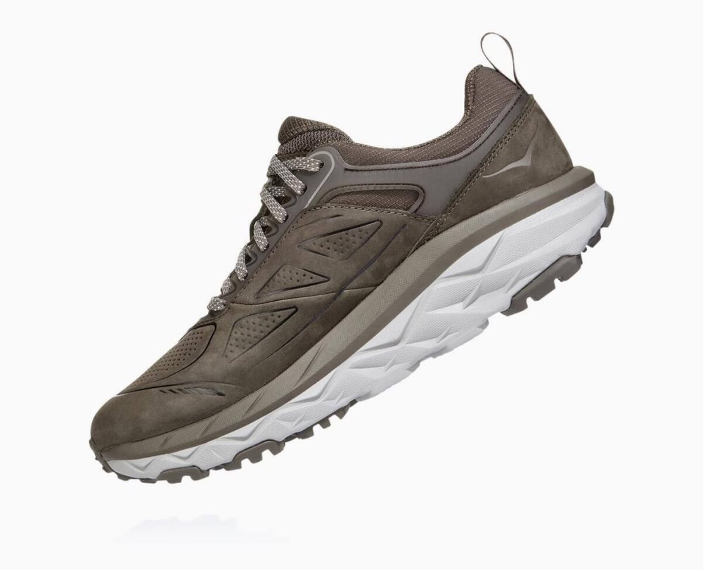 Chaussure de Randonnée Hoka Challenger Low GORE Femme Marron | TGQV39746