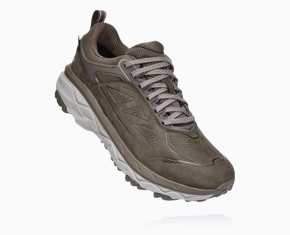 Chaussure de Randonnée Hoka Challenger Low GORE Femme Marron | TGQV39746