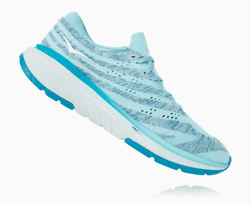 Chaussures Running Route Hoka Cavu 3 Femme Marron | QTWE96280