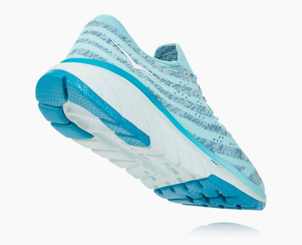 Chaussures Running Route Hoka Cavu 3 Femme Marron | QTWE96280