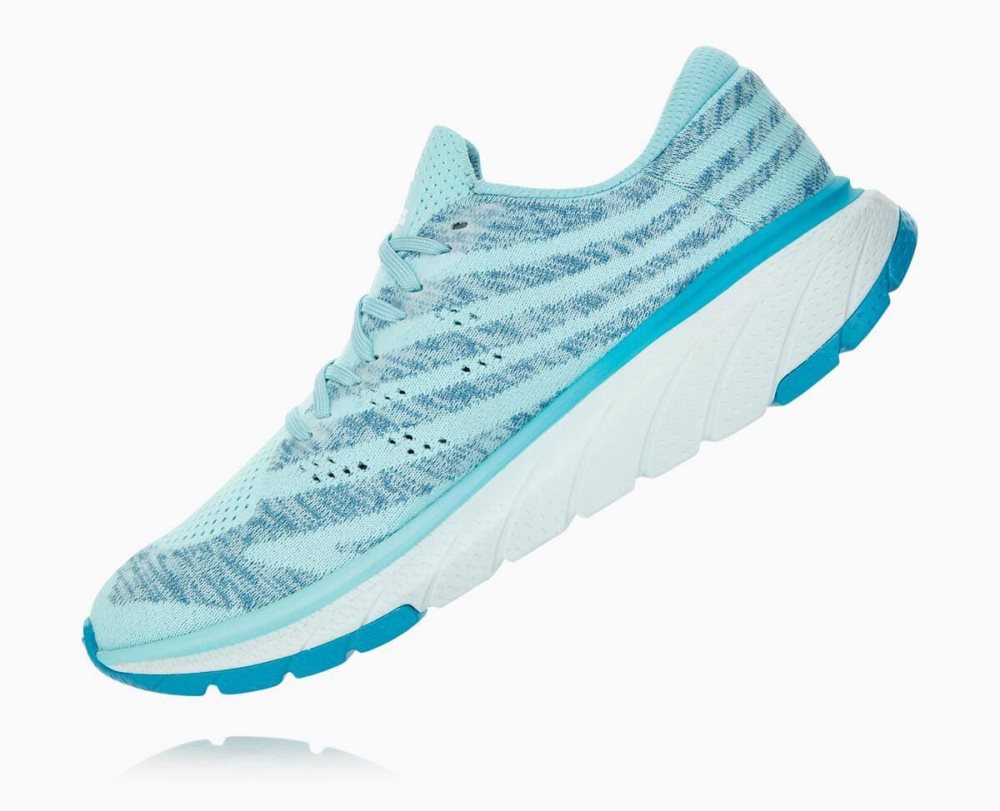 Chaussures Running Route Hoka Cavu 3 Femme Marron | QTWE96280