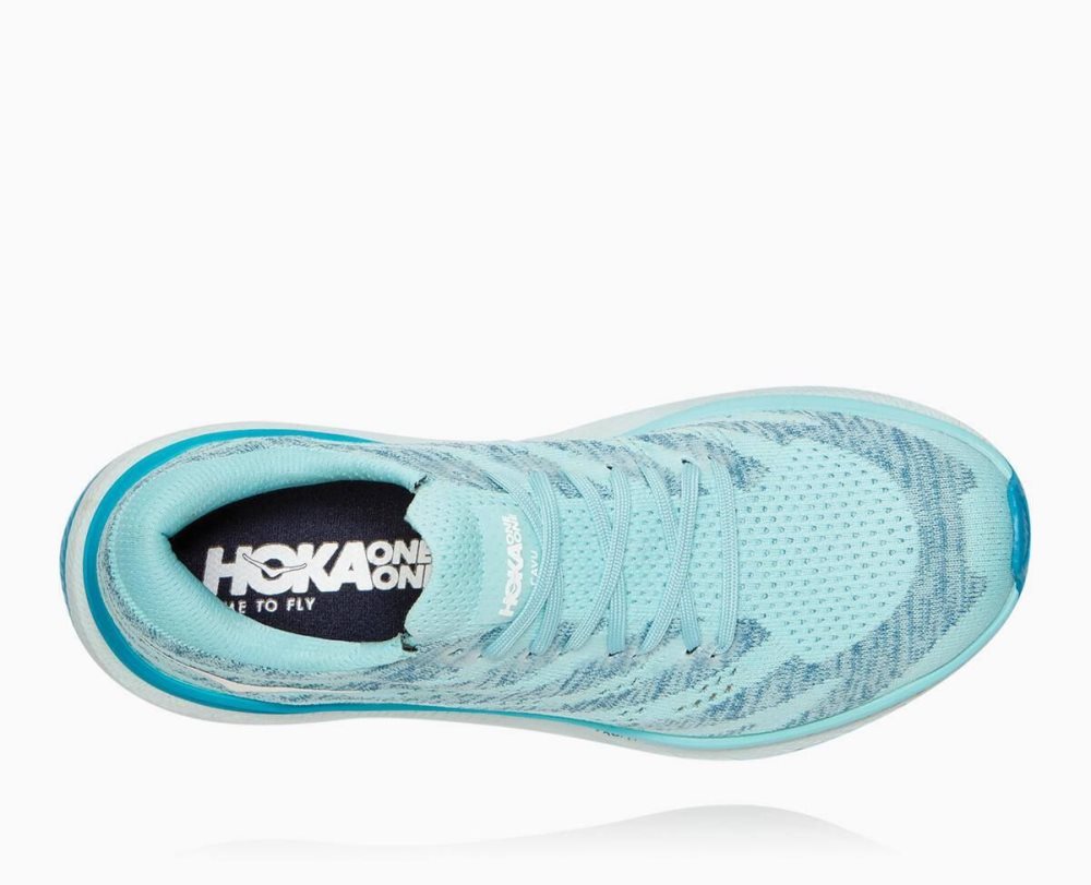 Chaussures Running Route Hoka Cavu 3 Femme Marron | QTWE96280