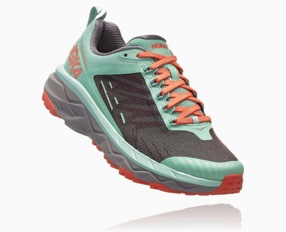 Chaussures Running Route Hoka Challenger ATR 5 Femme Pavement/Lichen | YGPJ30276