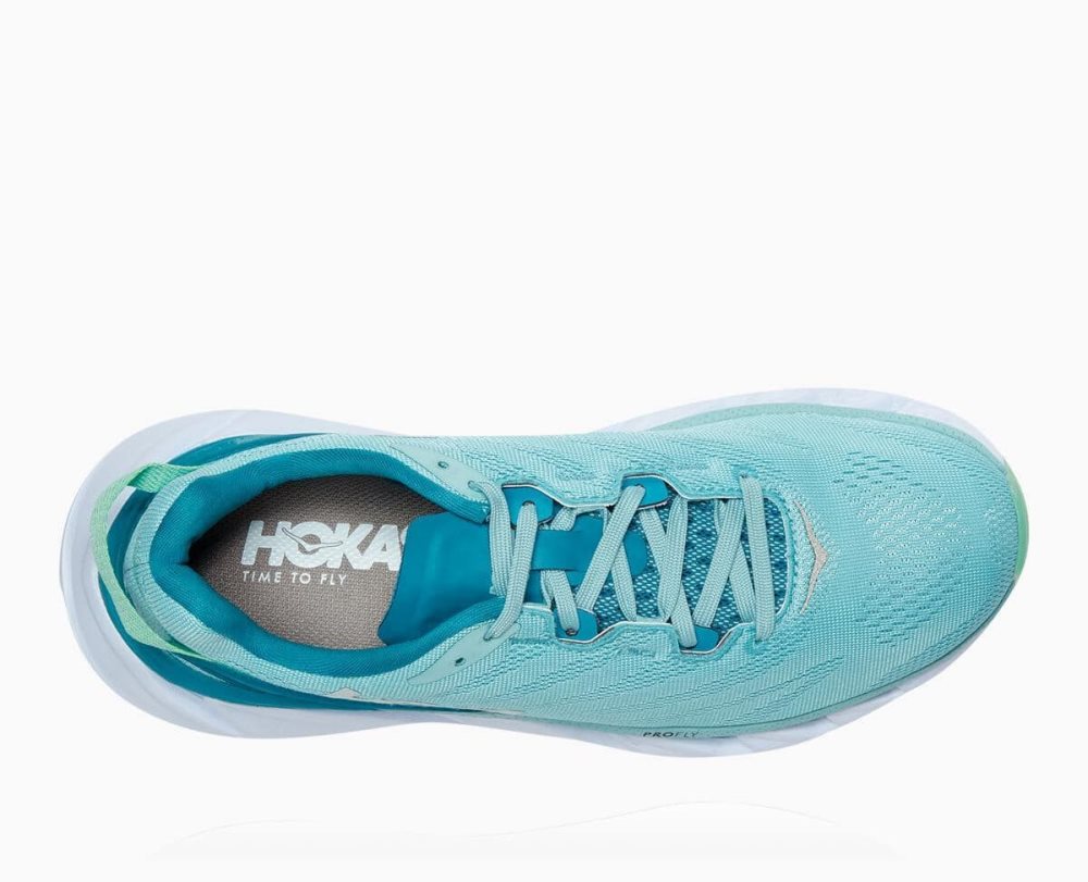 Chaussures Running Route Hoka Elevon 2 Femme Marron Bleu | YSKL96837