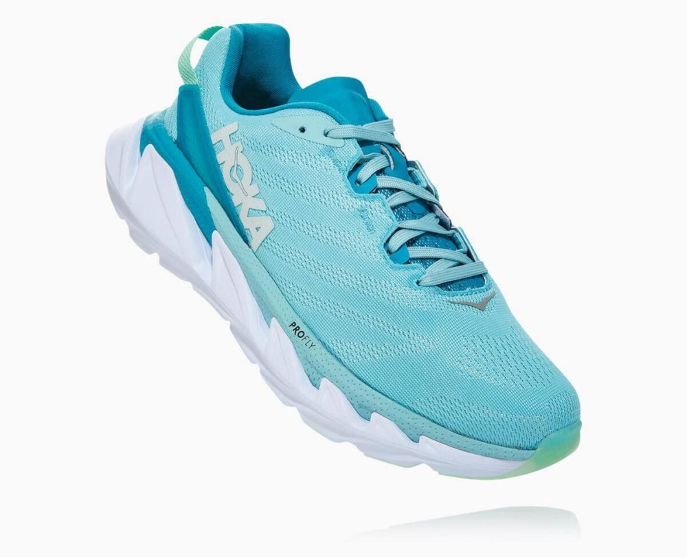 Chaussures Running Route Hoka Elevon 2 Femme Marron Bleu | YSKL96837