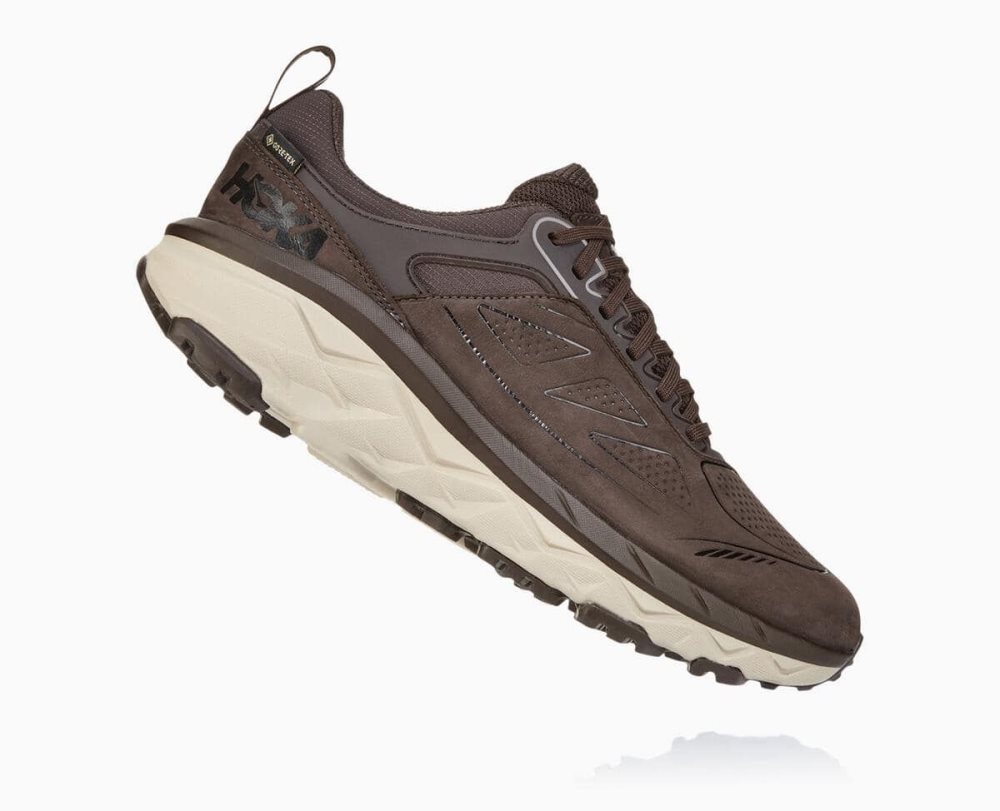 Chaussures Trail Hoka Challenger Low GORE Homme Cafe | SNPB46208