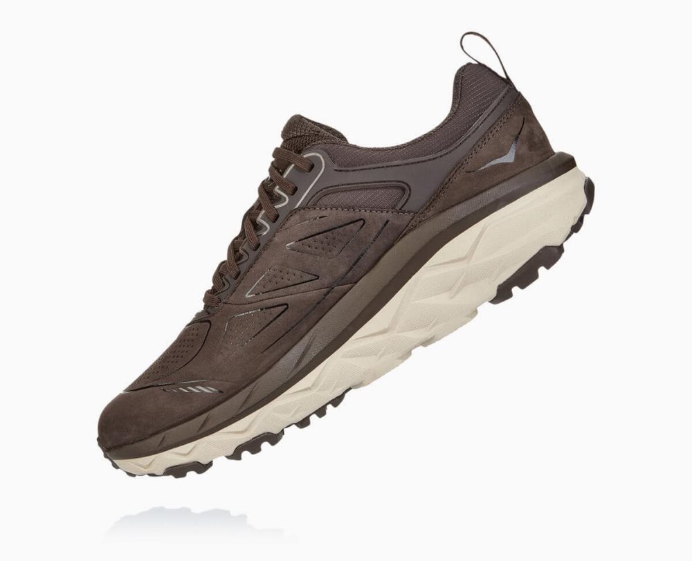 Chaussures Trail Hoka Challenger Low GORE Homme Cafe | SNPB46208